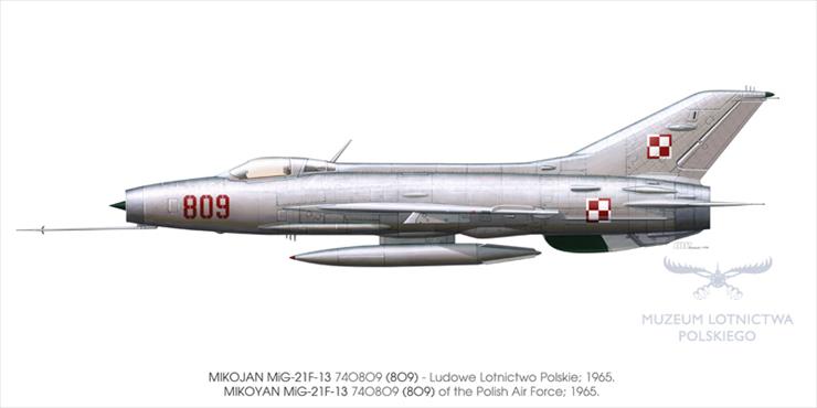 MiG-21 F13 - 195c.jpg