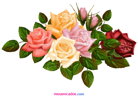 róże - r____e___.gif